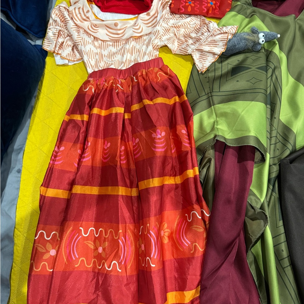 Encanto Family Costumes